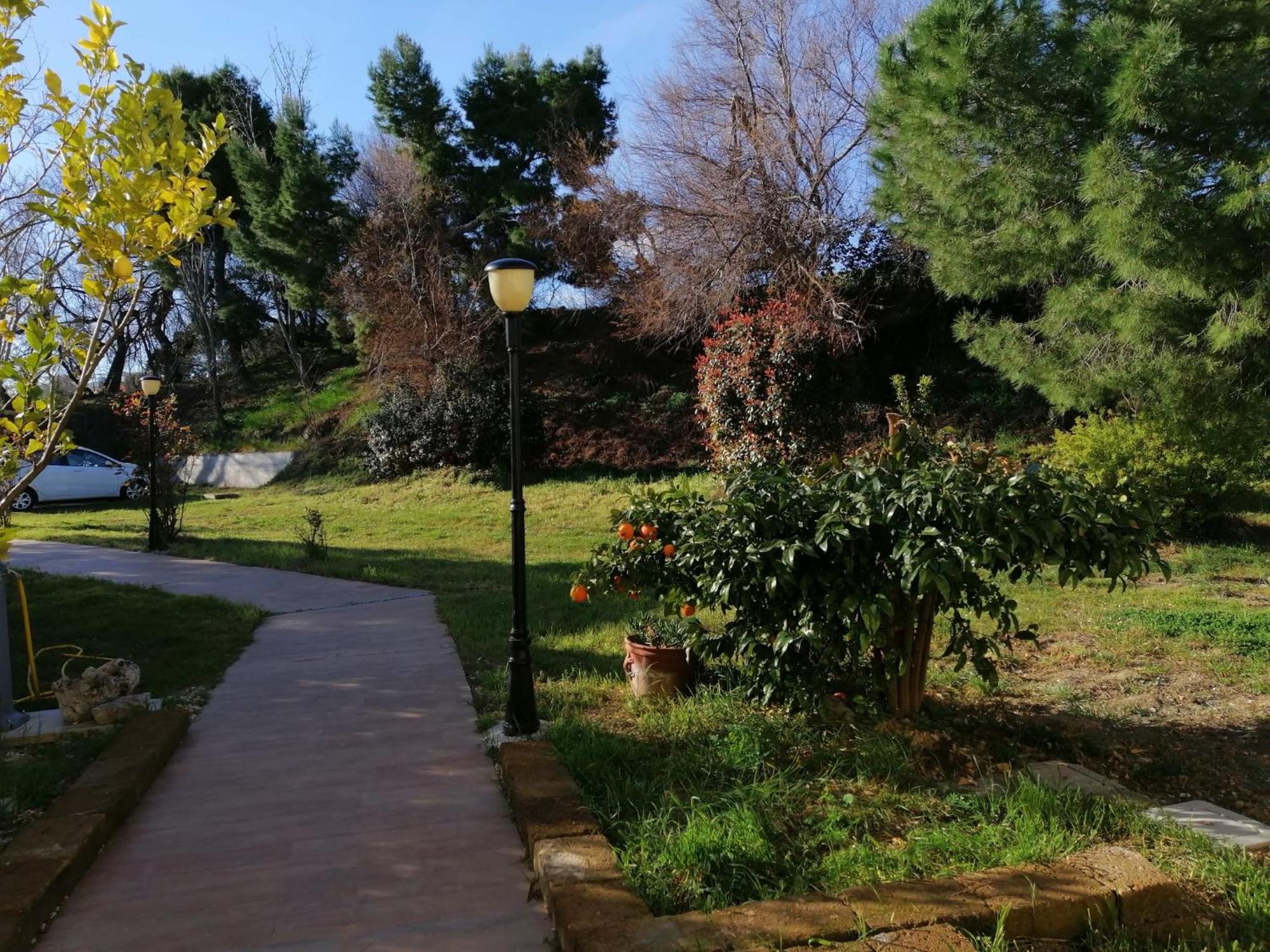 Le Tamerici B&B Ankona Zewnętrze zdjęcie